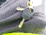 GX0110A0***** Salvage 2008 John Deere Riding Lawnmower in North Carolina State