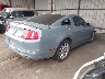 1ZVBP8ANXA5****** Salvamento y Destrozados 2010 Ford Mustang en Estado de Oklahoma