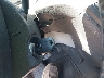1FBAX2CG1GK****** Salvage 2016 Ford Transit in South Carolina State