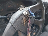 1GCEK19Z16Z****** Salvage 2006 Chevrolet Silverado 1500 in Nebraska State