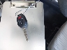 JF2SJABC6JH****** Salvage 2018 Subaru Forester in California State
