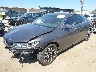 1HGCT1B70HA****** Usados y Reparables 2017 Honda Accord en North Hollywood