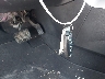 1N4AL3AP8DC****** Salvage 2013 Nissan Altima in Texas State