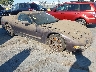 1G1YY32GXW5****** Salvamento y Destrozados 1998 Chevrolet Corvette en East Bay