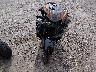 JS1GX72A082****** Used and Repairable 2008 Suzuki Gsx1300 in Maryland State