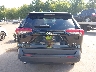 2T3P1RFV8PW****** Wrecked 2023 Toyota RAV4