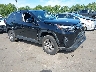 2T3P1RFV8PW****** Salvage and Wrecked 2023 Toyota RAV4 in Hartford
