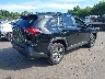 2T3P1RFV8PW****** Salvage and Wrecked 2023 Toyota RAV4 in Connecticut State