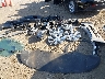 7SAYGDEE9NF****** Wrecked 2022 Tesla Model Y in California State