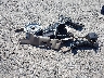 3GNEK18R0TG****** Wrecked 1996 Chevrolet Tahoe in New Jersey State