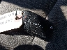 3KPFK4A73HE****** Salvage 2017 Kia Forte in Louisiana State