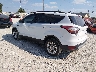 1FMCU0GD6JU****** Salvamento y Reparables 2018 Ford Escape en Springfield