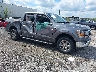 1FTFW1E89MF****** Salvamento y Destrozados 2021 Ford F-150 en Philadelphia