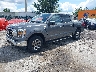 1FTFW1E89MF****** Usados y Reparables 2021 Ford F-150 en Philadelphia