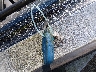 BNZ8D15***** Salvage 1997 Stratos Boats Inc Other in Tennessee State
