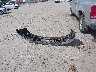 1D7HU18D84S****** Salvamento y Reparables 2004 Dodge Ram 1500 en Estado de New Hampshire