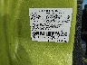 1FMCU0D75CK****** Usados 2012 Ford Escape en Austin North