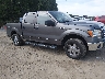 1FTFW1EF1DF****** Salvamento y Destrozados 2013 Ford F-150 en Taunton