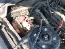 1ZVHT84N195****** Used 2009 Ford Mustang in Texas State