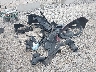 1HGCR2F80GA****** Destrozados 2016 Honda Accord en Estado de Ohio