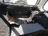 1JCCM87EXGT****** Destrozados 1986 Jeep CJ7 en Denver East