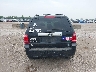 1FMCU0EG9CK****** Destrozados 2012 Ford Escape