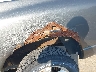 1D7HU18216S****** Salvage and Repairable 2006 Dodge Ram 1500 in Illinois State