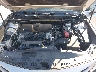 4T1B11HK0KU****** Repairable 2019 Toyota Camry in Pensacola