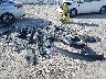 5N1DL0MN9KC****** Destrozados 2019 Infiniti QX60 en Estado de Florida