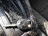 1FADP3E28DL****** Salvamento 2013 Ford Focus en Estado de Texas
