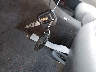 1LNFM83W1WY****** Salvamento 1998 Lincoln Town Car en Estado de Luisiana