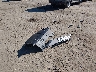 1HGCT2B86EA****** Wrecked 2014 Honda Accord in New Hampshire State