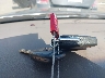 JTHBA30GX55****** Salvage 2005 Lexus ES in California State