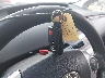 JTDKN3DU8A0****** Salvamento 2010 Toyota Prius en Estado de Ohio