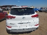 KM8J33A22HU****** Destrozados 2017 Hyundai Tucson