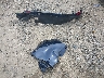 JM3KFBEM9S0****** Wrecked 2025 Mazda CX-5 in Georgia State
