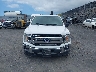 1FTFX1E44KK****** Destrozados 2019 Ford F-150 en Estado de Hawaii