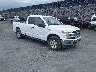 1FTFX1E44KK****** Salvamento y Destrozados 2019 Ford F-150 en Honolulu