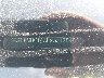 KMHCT4AE9GU****** Wrecked 2016 Hyundai Accent in Texas State
