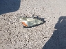 1HGCM66505A****** Destrozados 2005 Honda Accord en Estado de Texas