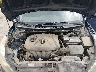 5NPDH4AE3BH****** Reparables 2011 Hyundai Elantra en Boise