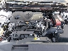 4T1B11HK6KU****** Reparables 2019 Toyota Camry en Los Angeles