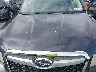 JF2SJADC5EH****** Salvage and Repairable 2014 Subaru Forester in New York State