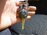 3FAHP0HA3BR****** Salvamento 2011 Ford Fusion en Estado de Maryland