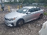 5XXGT4L35KG****** Usados y Reparables 2019 Kia Optima en Jacksonville