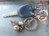 3CZRE38358G****** Salvage 2008 Honda CR-V in Texas State