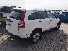 3CZRE38389G****** Salvamento y Destrozados 2009 Honda CR-V en Estado de Texas