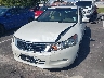 1HGCP36829A****** Salvamento y Reparables 2009 Honda Accord en Estado de Tennessee