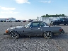 00010704412****** Reparables 1975 Mercedes-Benz 400 Series en Estado de Indiana