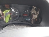 1J4NT1GA2AD****** Salvage 2010 Jeep Patriot in Tidewater